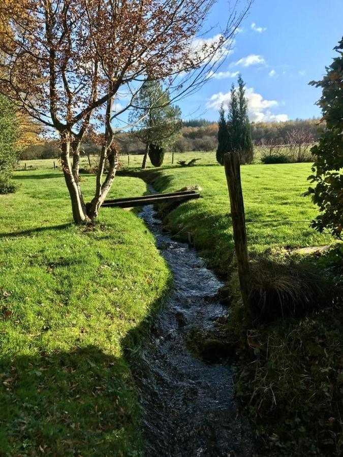 Lovely Meadow House In The Land Of Croix Scaille Gedinne Kültér fotó